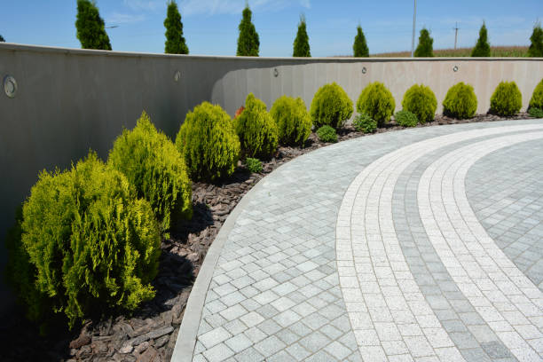 Best Concrete Paver Driveway  in Elk Creek, KY